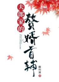 夫郎家的赘婿首辅214